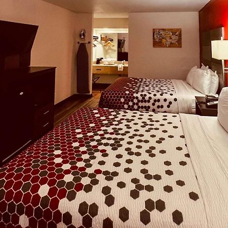 Econo Lodge Inn & Suites Downtown San Antonio Dış mekan fotoğraf