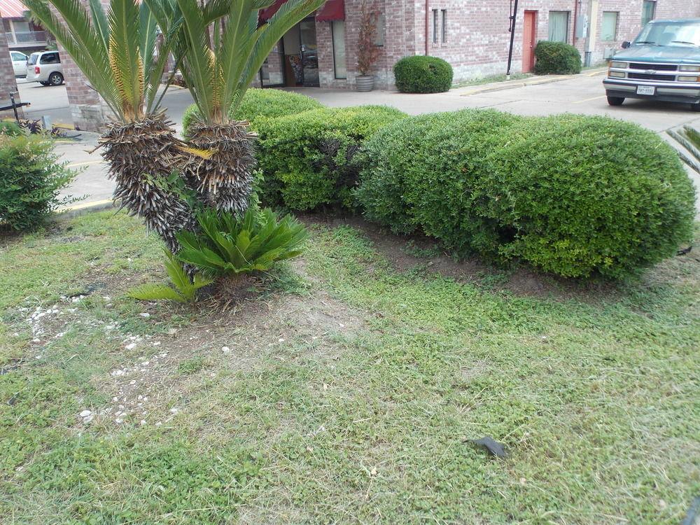 Econo Lodge Inn & Suites Downtown San Antonio Dış mekan fotoğraf